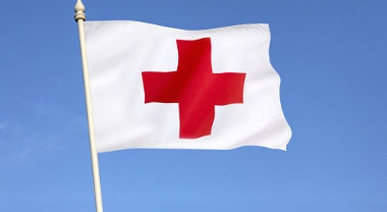 Sites do Movimento Internacional